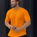 تیشرت بیسیک 2پولو