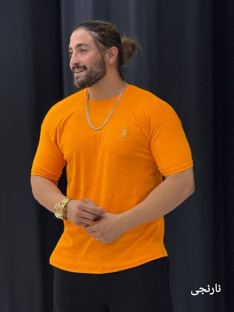 تیشرت بیسیک 2پولو