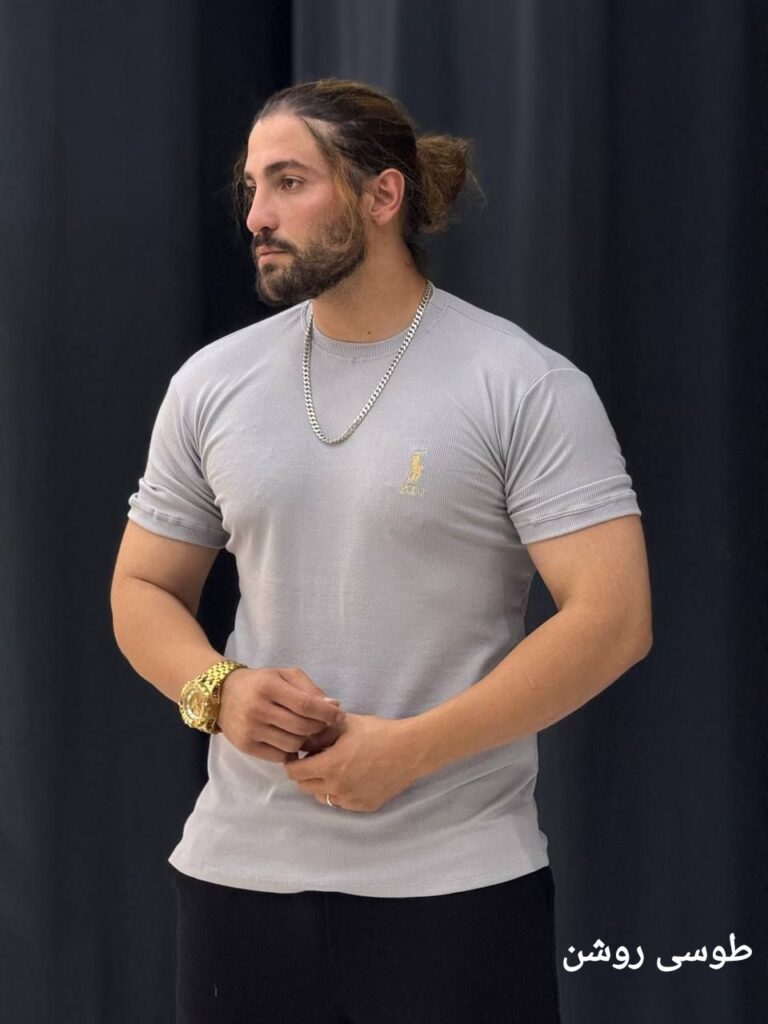 تیشرت بیسیک 2پولو