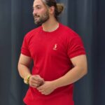 تیشرت بیسیک 2پولو