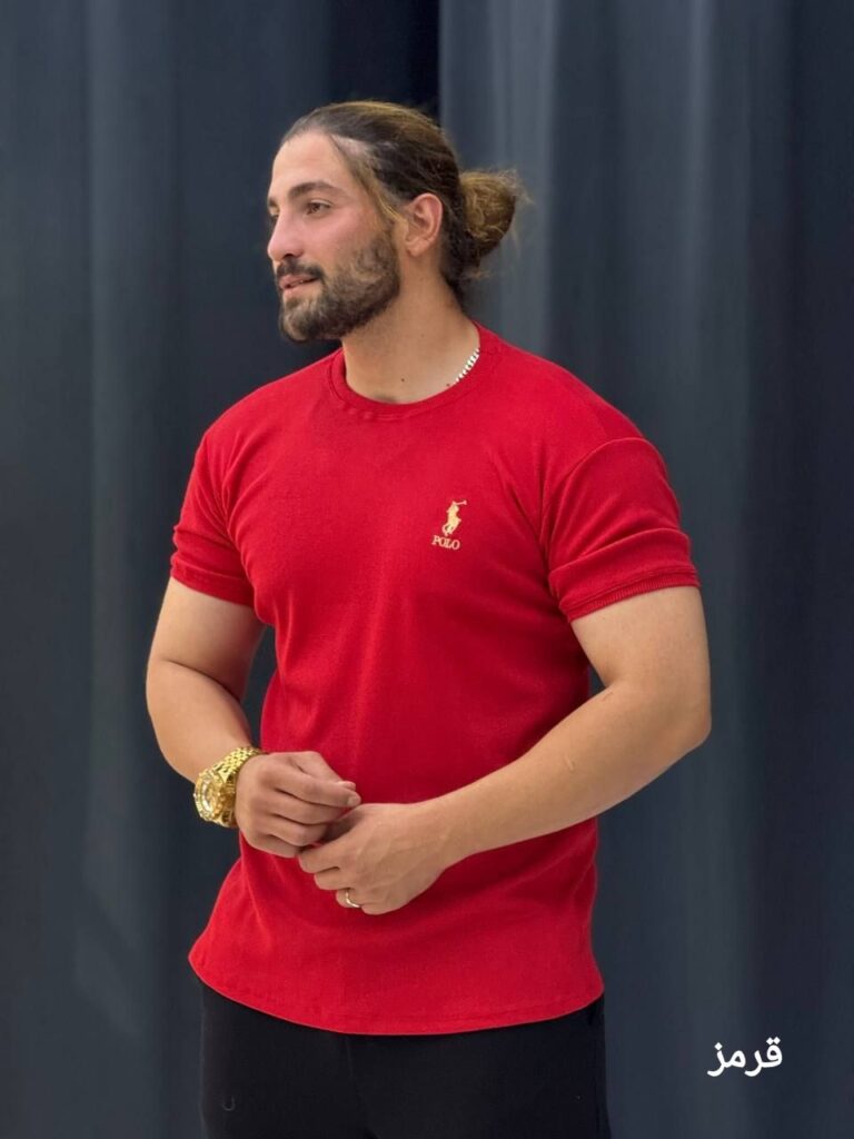 تیشرت بیسیک 2پولو