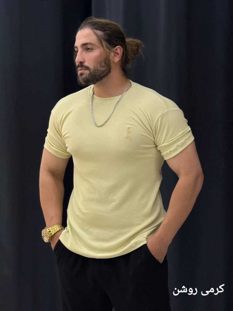 تیشرت بیسیک 2پولو